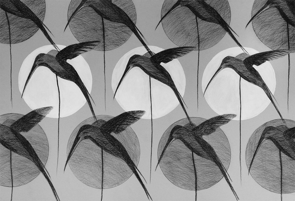 Composition of Birds charcoal chalk paper 70x100 cm 2013