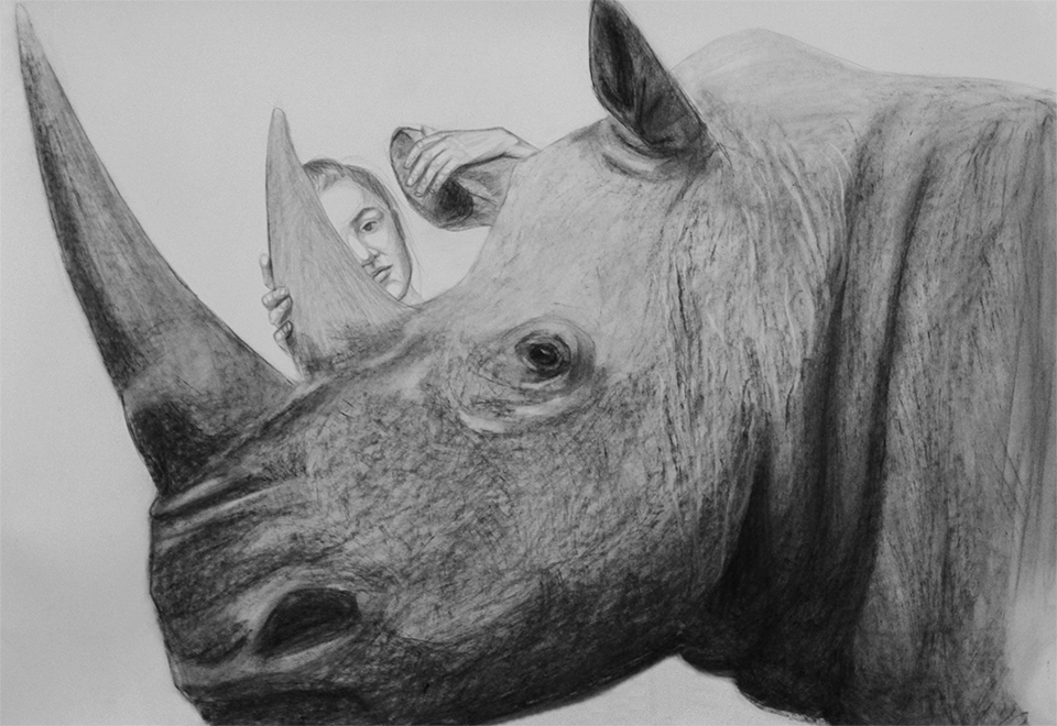 Rhinoceros, charcoal, paper, 60x90 cm, 2013